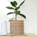 Are Air Ionizers Better Than Air Purifiers? A Comprehensive Guide