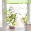 What Qualifications Should You Look for in an Air Ionizer Installation Technician?